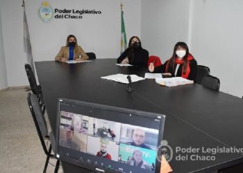 Legislatura: La Comisión De Género, Diversidad, Familia Y NNyA ratificó dictámenes
