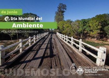 Día del Ambiente: Avances de la Legislatura en materia ambiental