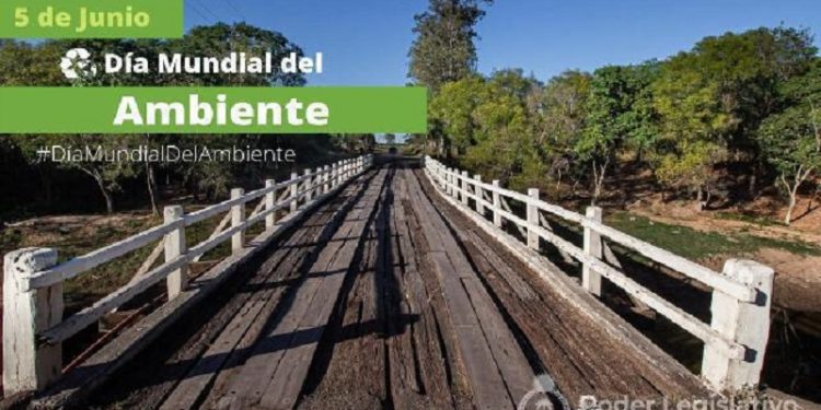 Día del Ambiente: Avances de la Legislatura en materia ambiental
