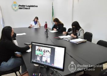 Legislatura: Se reunió la Comisión de Género, Diversidad, Familia y NNyA