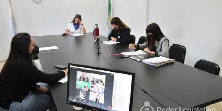 Legislatura: Se reunió la Comisión de Género, Diversidad, Familia y NNyA
