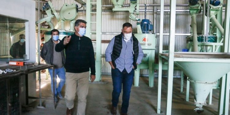Capitanich visitó la granja porcina “La Felicidad” que lleva adelante un plan de expansión con financiamiento provincial