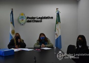 Ratifican dictamen para crear la Comisión Legislativa Especial ”Políticas de Integración Regional Provincial y del Norte Grande”