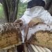 Chaco se posiciona en el mundo con la producción de miel orgánica y propóleos