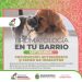 Barranqueras: Bromatología continúa recorriendo los barrios en el mes de septiembre