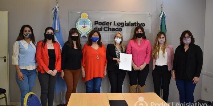 Legisladoras entregaron declaración de interés legislativo y provincial a un fallo con perspectiva de género