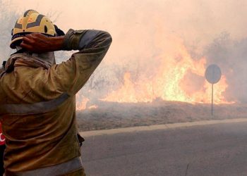 Declaran la emergencia agropecuaria por los incendios en Córdoba
