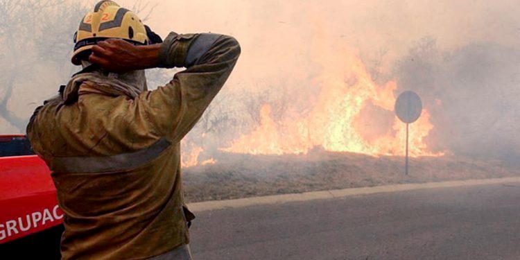 Declaran la emergencia agropecuaria por los incendios en Córdoba