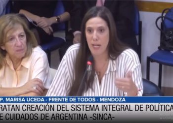 En plenario de Diputados, se inició el debate sobre tareas de cuidado