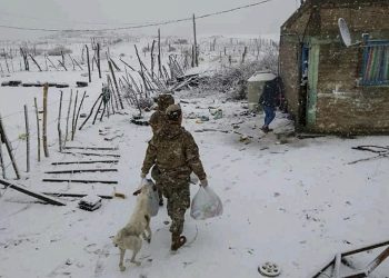 Entidad rural dice que las nevadas dejan ver la “pésima” infraestructura en la Patagonia