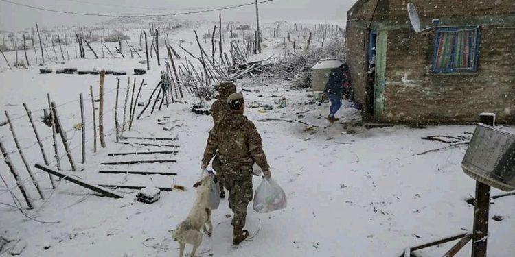 Entidad rural dice que las nevadas dejan ver la “pésima” infraestructura en la Patagonia