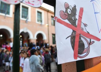 Gestión PRO: las claves de la debacle educativa