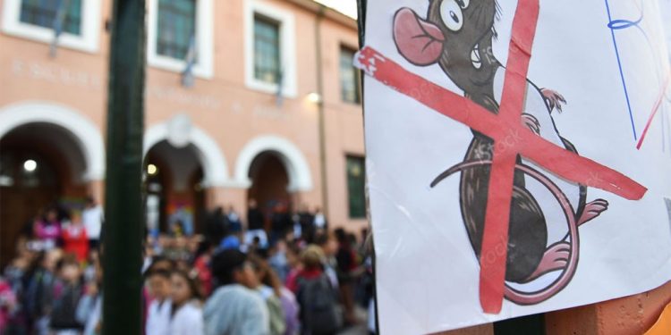 Gestión PRO: las claves de la debacle educativa