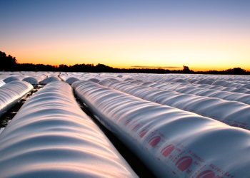 Incorporan sensores para monitorear y brindar seguridad a los silobolsas en Córdoba