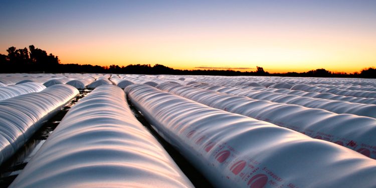 Incorporan sensores para monitorear y brindar seguridad a los silobolsas en Córdoba