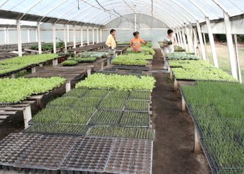 Productores hortícolas comienzan a cobrar subsidios por emergencia agropecuaria