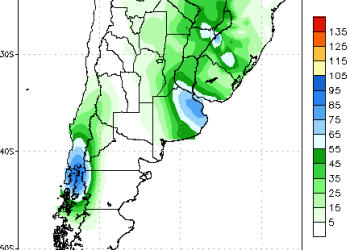 Trigo: Lluvias a la vista permiten proyectar una mayor siembra
