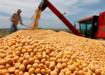 Bahillo descartó baja de retenciones en granos y un nuevo dólar soja