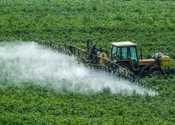 Denuncian que el INTA silenció un informe que advertía sobre la presencia de agrotóxicos en la población