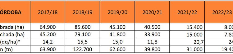 El garbanzo profundiza su caída en Córdoba