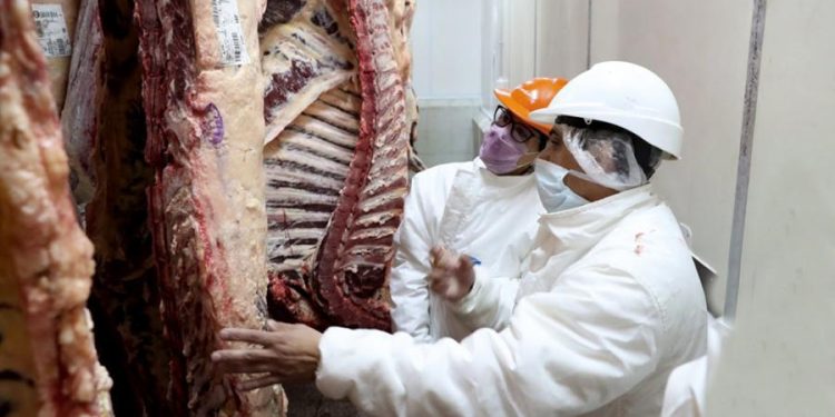 Estiman que el precio de la carne continuará por debajo de la inflación