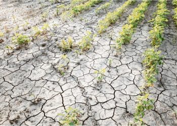 La economía continúa complicada y la seca no ayuda