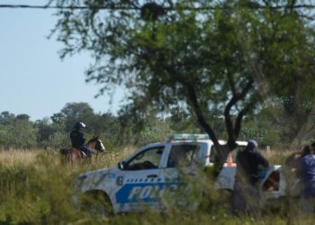 Las evidencias del caso Cecilia Strzyzowski: búsquedas en Google, cámaras y restos