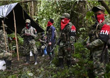 Más de 6.000 afectados por enfrentamientos entre el ELN y el Clan del Golfo