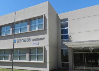 Para el Senasa, la cadena de abastecimiento de agroalimentos tiene “niveles normales”