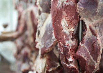 Por la crisis del agua, el Frigorífico Canelones detiene su actividad y licencia a todo su personal