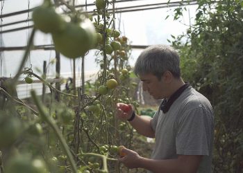 Se estrena “Lo que no engorda mata” una serie documental sobre lo que comemos