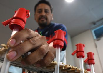 Tucumán: entregaron microcréditos y equipamientos por $42.000 millones