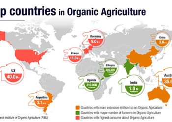 Argentina es el tercer país con mayor superficie sembrada de productos orgánicos