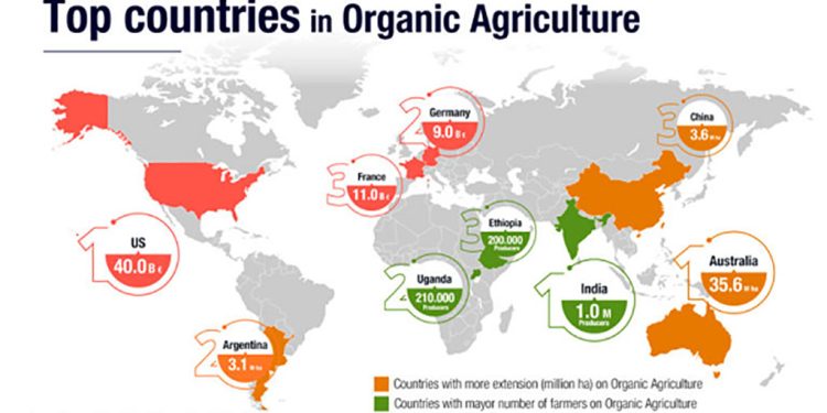 Argentina es el tercer país con mayor superficie sembrada de productos orgánicos