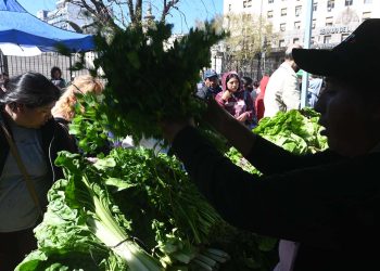 Campesinos, cooperativistas y agricultores familiares presentaron programa agrario