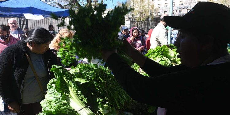 Campesinos, cooperativistas y agricultores familiares presentaron programa agrario