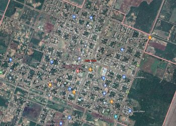 Cayó una avioneta en un campo y en su interior secuestran 324 kilos de cocaína