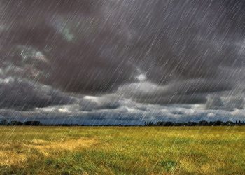 El este del área agrícola recibiría las primeras influencias de El Niño