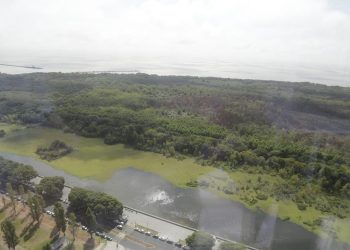 El gobierno porteño avanza con la privatización de la Reserva Ecológica Costanera Sur