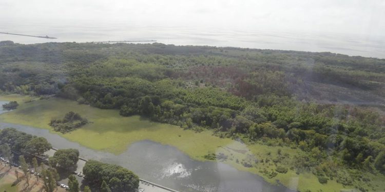 El gobierno porteño avanza con la privatización de la Reserva Ecológica Costanera Sur