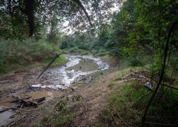 Encontraron más restos óseos carbonizados en el Río Tragadero
