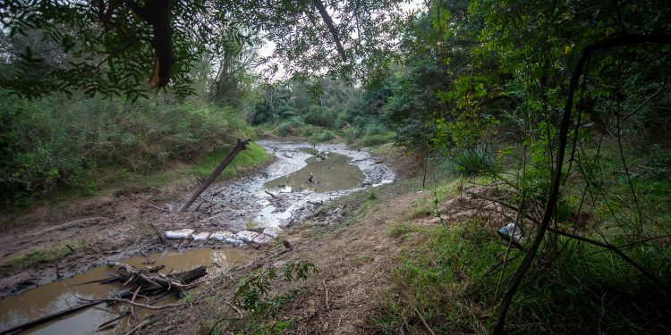 Encontraron más restos óseos carbonizados en el Río Tragadero