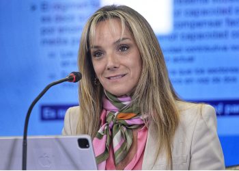 Galmarini aseguró que Massa trabaja “para logar el mejor acuerdo posible”