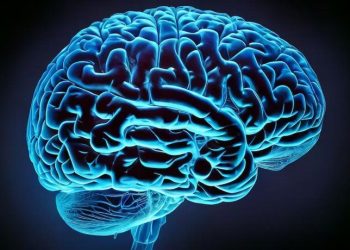 La Inteligencia Artifical ahora permitirá detectar tumores cerebrales