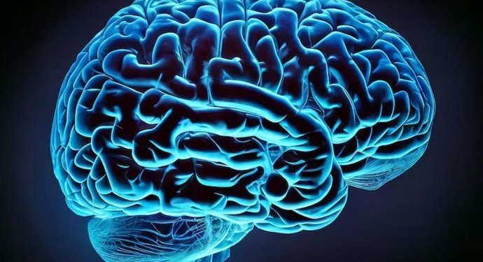 La Inteligencia Artifical ahora permitirá detectar tumores cerebrales