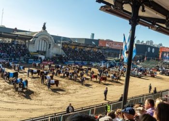 La Rural, nuevamente escenario de la disputa electoral: qué candidatos visitarán la Expo 2023