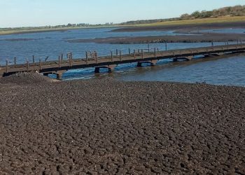 Las reservas de Paso Severino superaron el 13% y la crisis del agua empieza a quedar atrás