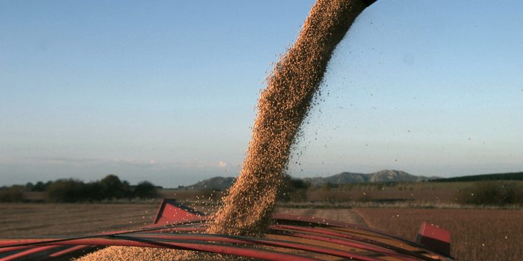 Los granos cerraron la semana con saldo positivo