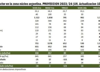 Maíz o Soja: ¿Quién deja mejores márgenes con los números de hoy?