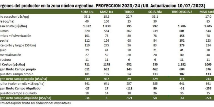 Maíz o Soja: ¿Quién deja mejores márgenes con los números de hoy?